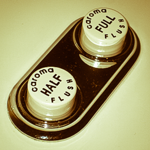 dual flush toilet button2